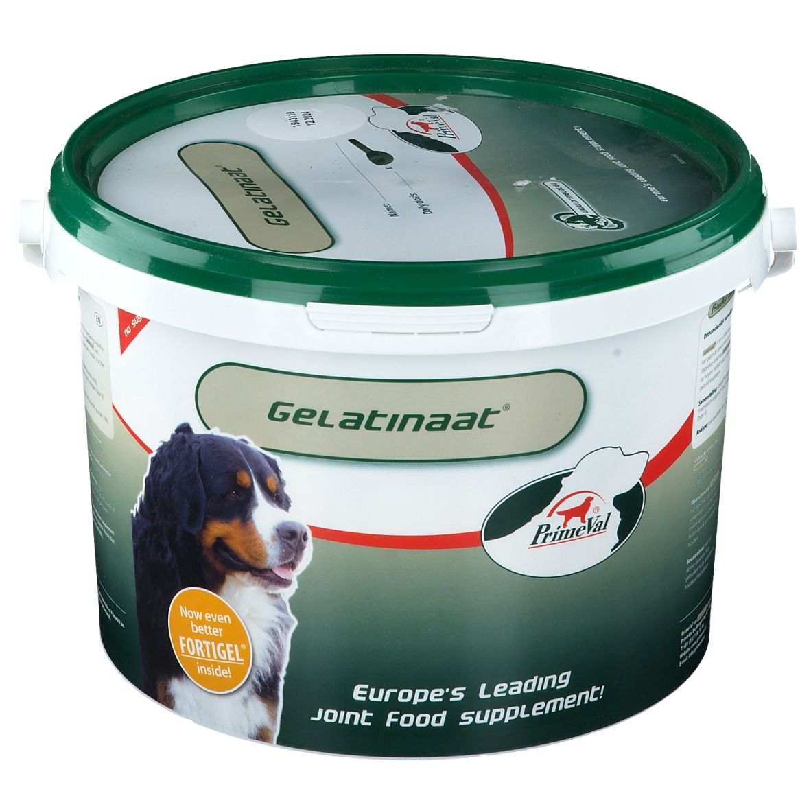 Primeval Gelatinaat Chien