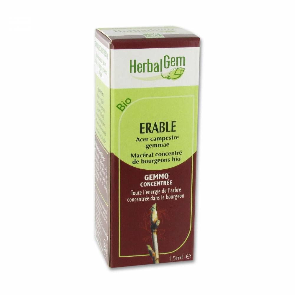 Herbalgem Erable Champetre Macerat