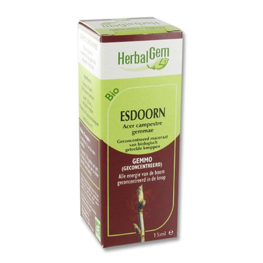 Herbalgem Erable Champetre Macerat