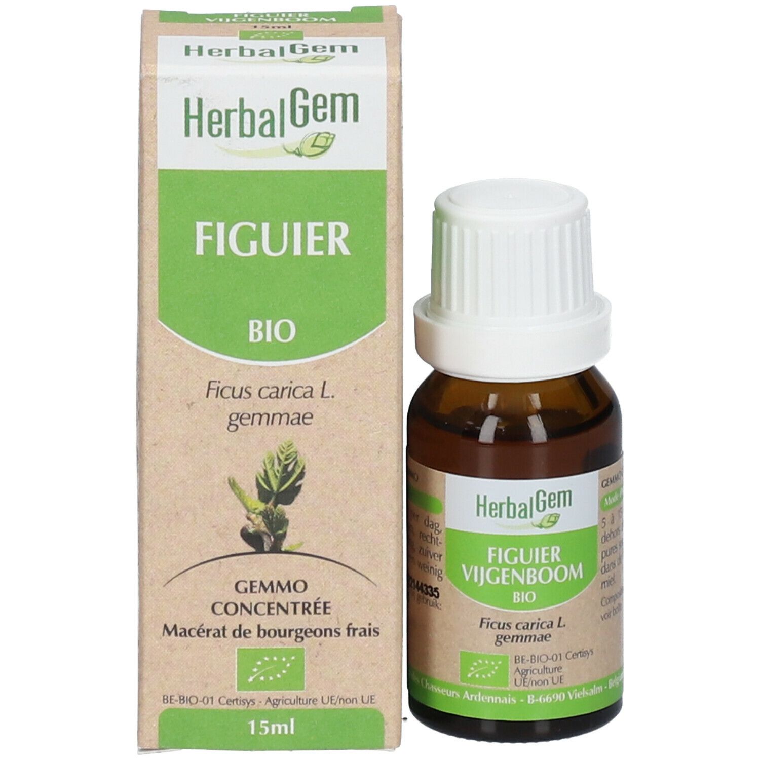 HerbalGem Figuier Bio