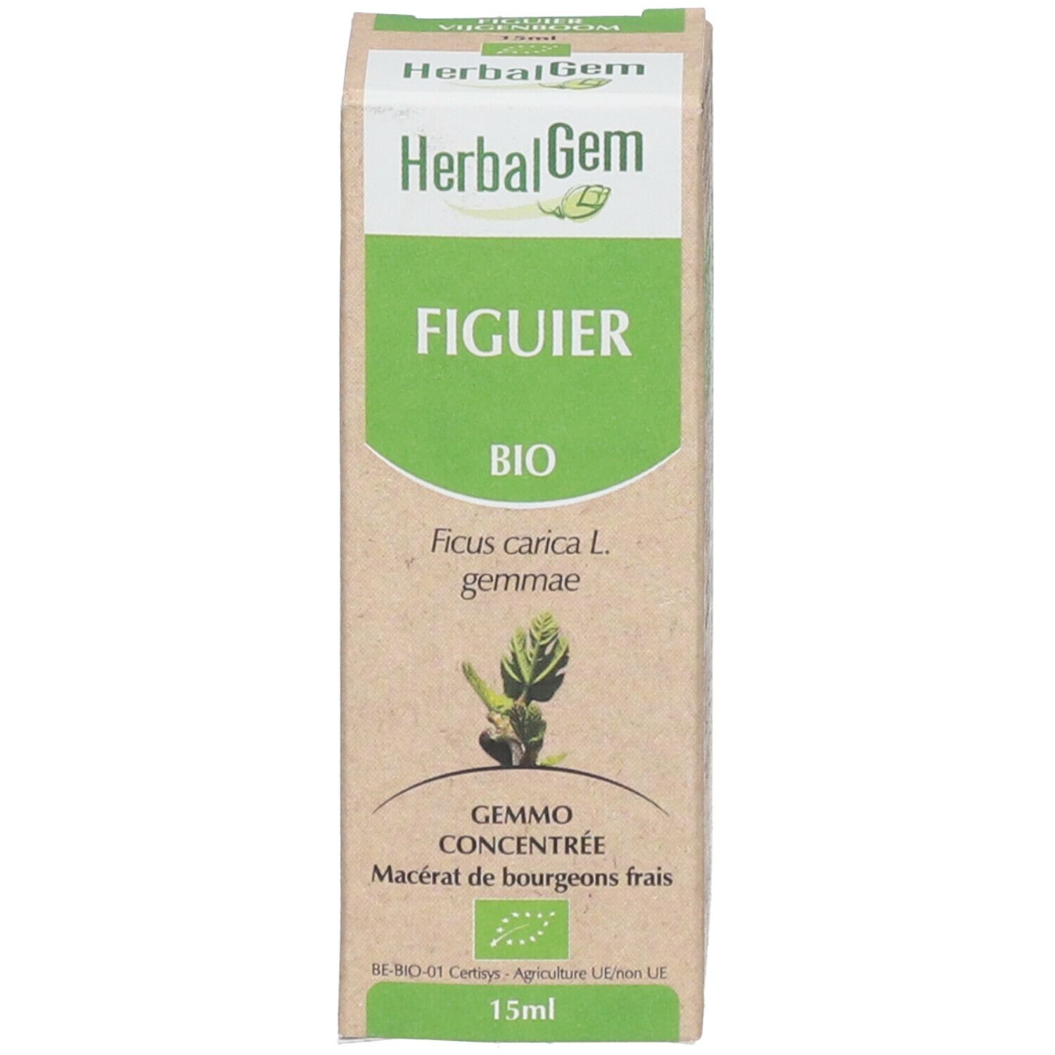 HerbalGem Figuier Bio