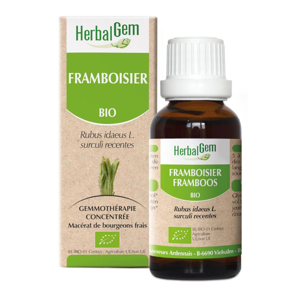 HerbalGem Framboises Bio