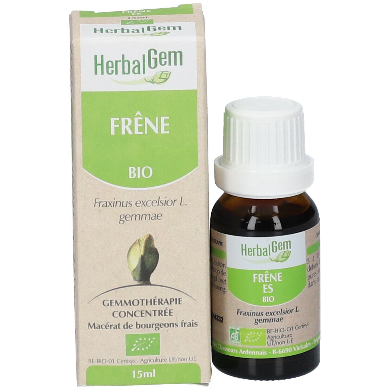 HerbalGem Frène Bio