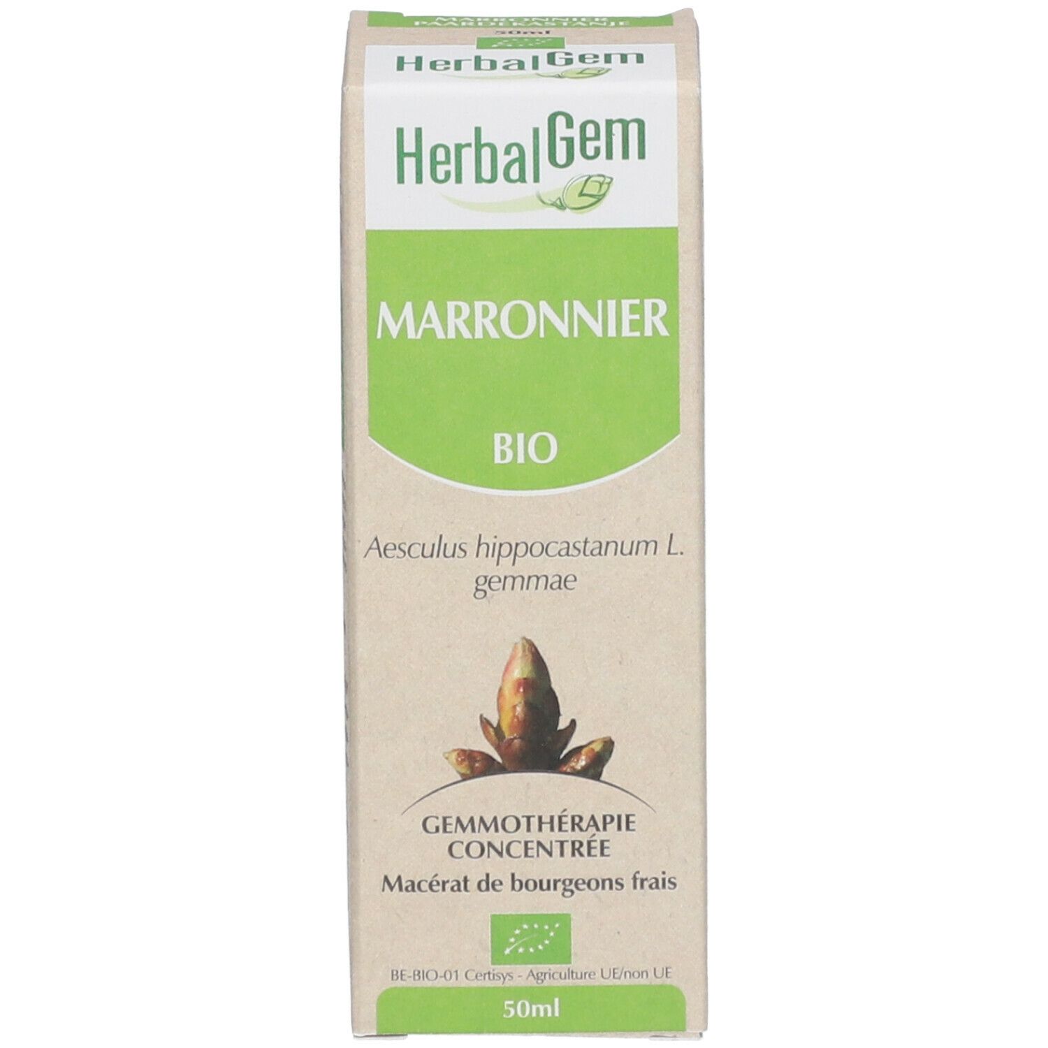 HerbalGem Marronnier Maceraat