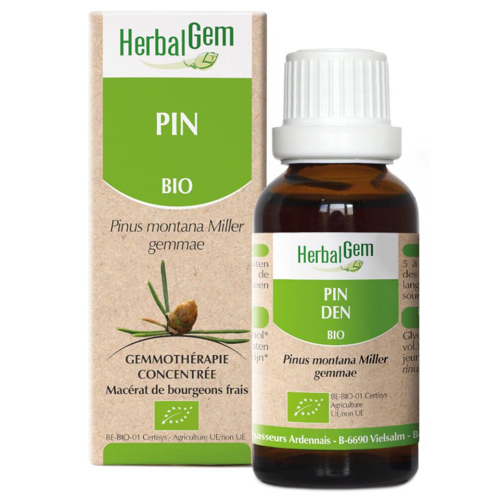 HerbalGem Pin de Montagne Macérat