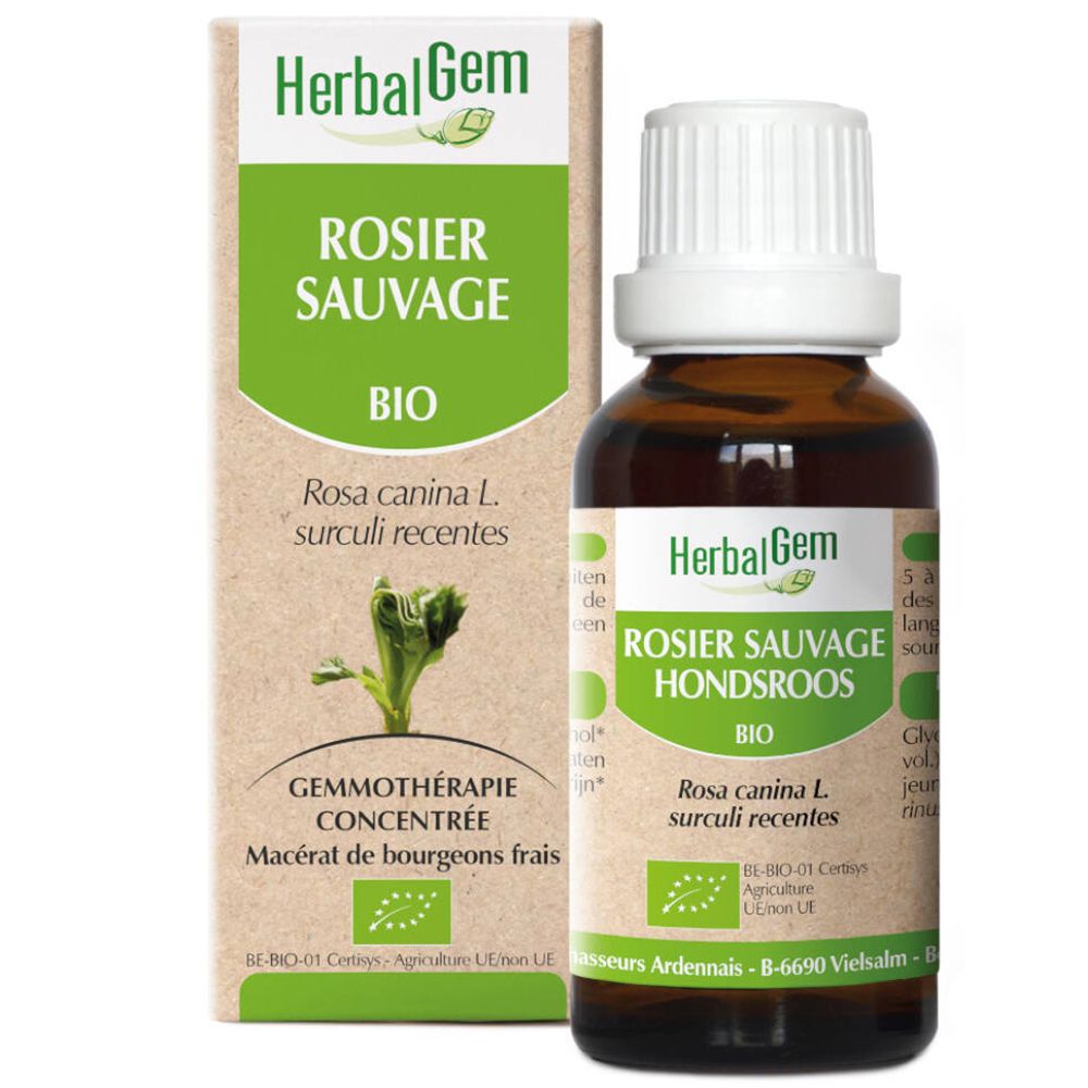 HerbalGem Rosier Sauvage Bio