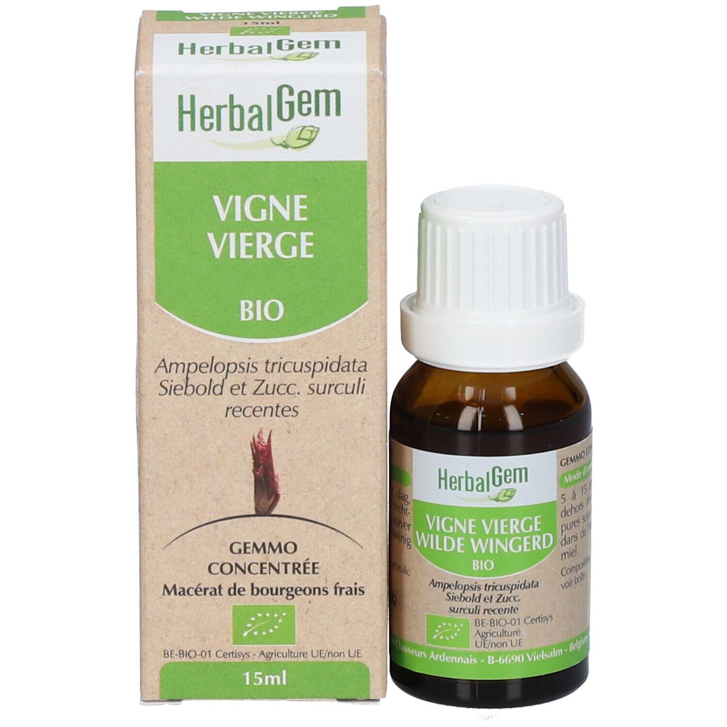 HerbalGem Vigne Vierge Bio
