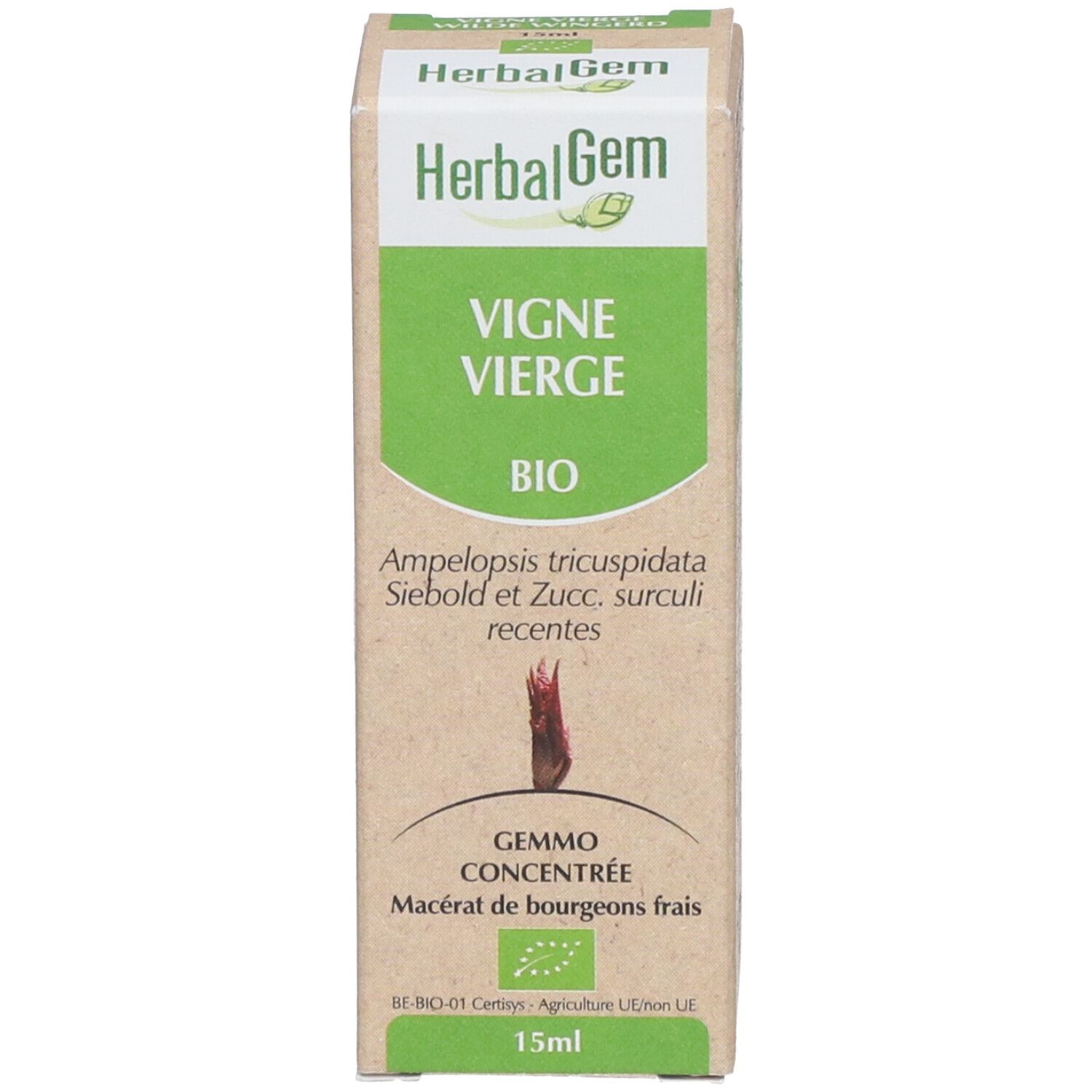 HerbalGem Vigne Vierge Bio