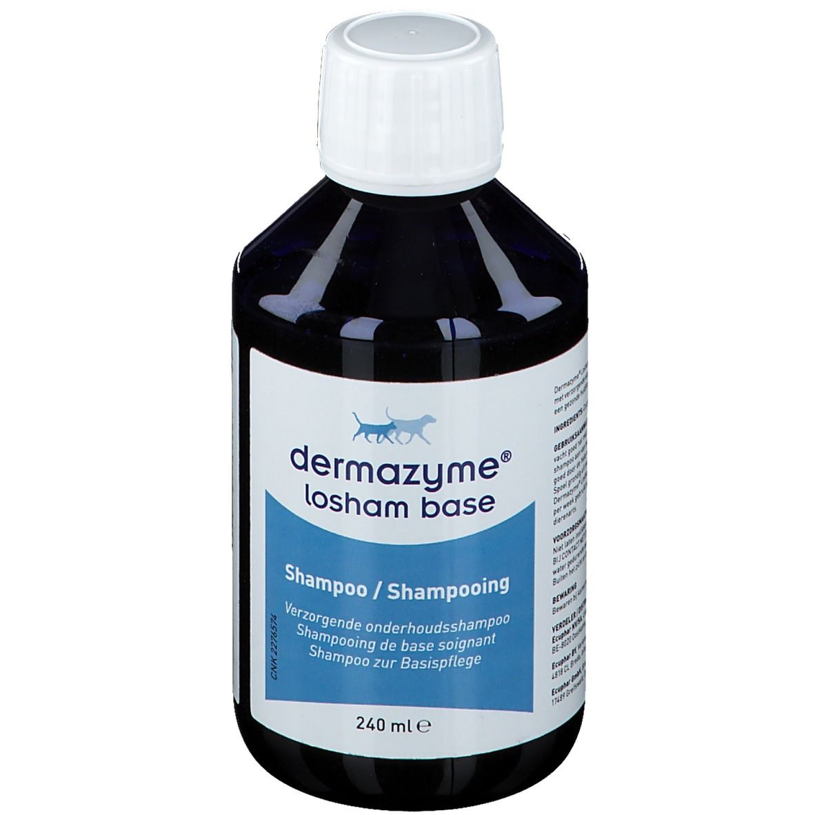 Dermazyme Losham Base Shampoo