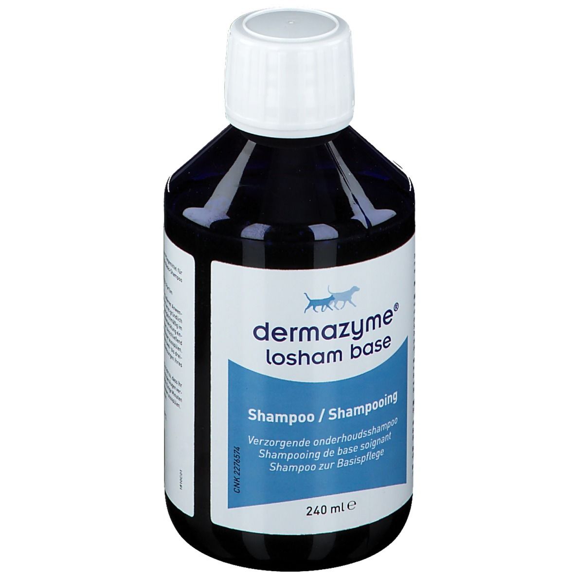 Dermazyme Losham Base Shampoo