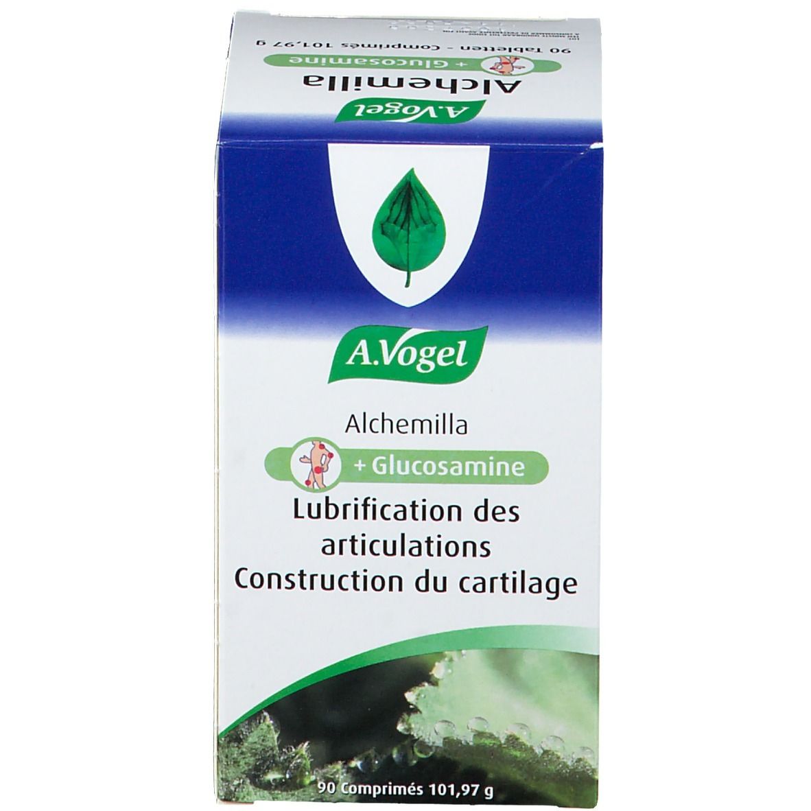 Boîte blanche avec inscription : A.Vogel Alchemilla + Glucosamine. Texte : Lubrication des articulations, Construction du cartilage.