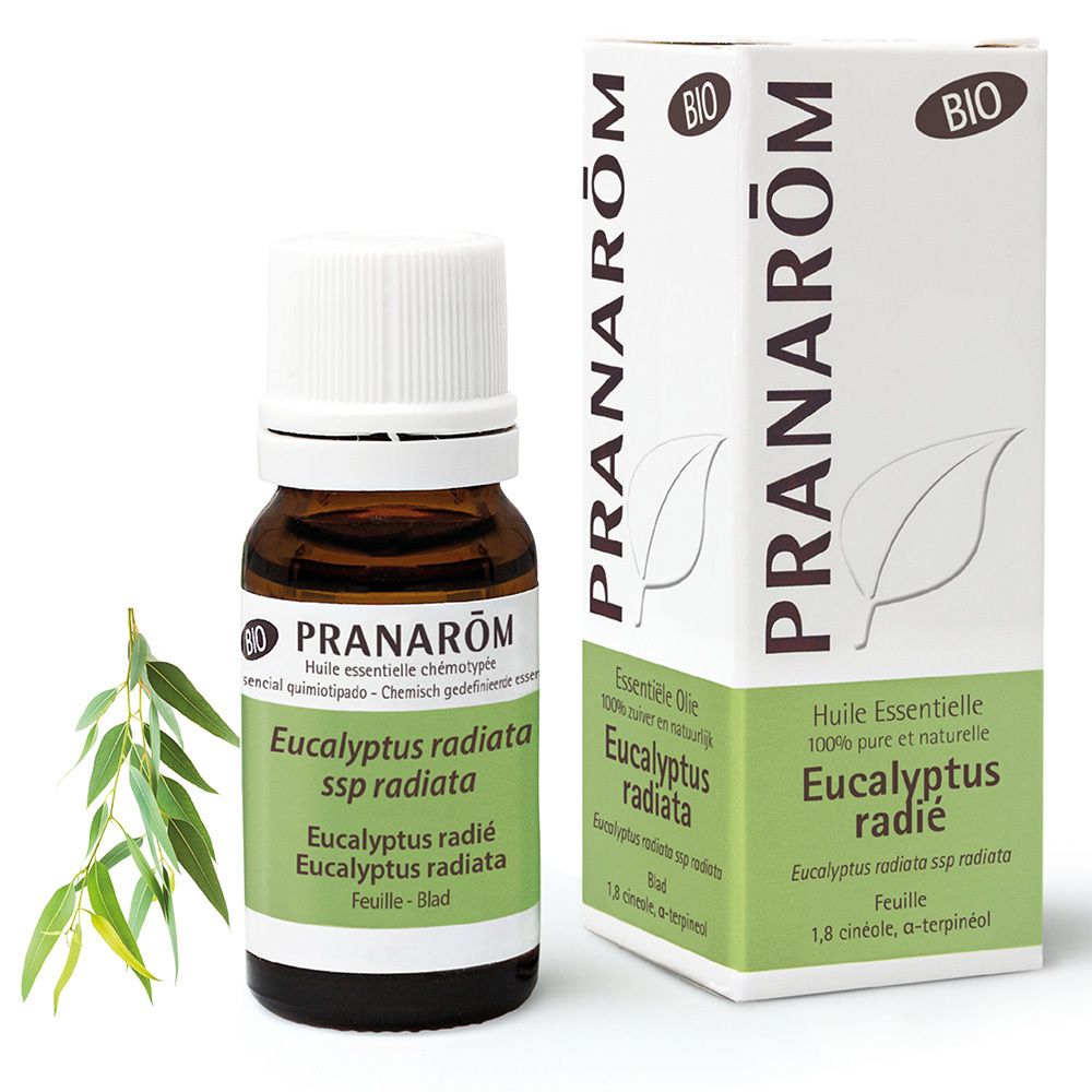 Pranarôm Huile Essentielle Eucalyptus Radié Bio