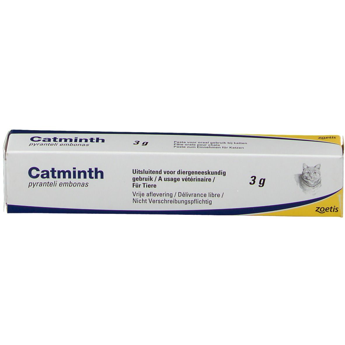 Catminth