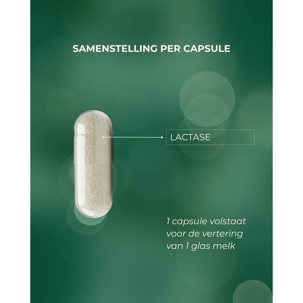 Close-up van een capsule met tekst in het Nederlands. Gelabeld "LACTASE". Groene achtergrond.