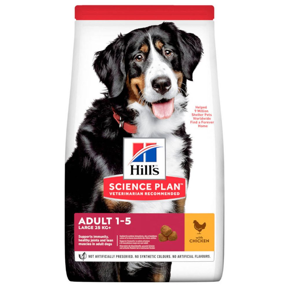 Hills Science Plan Canine Adult Grote Hond met Kip