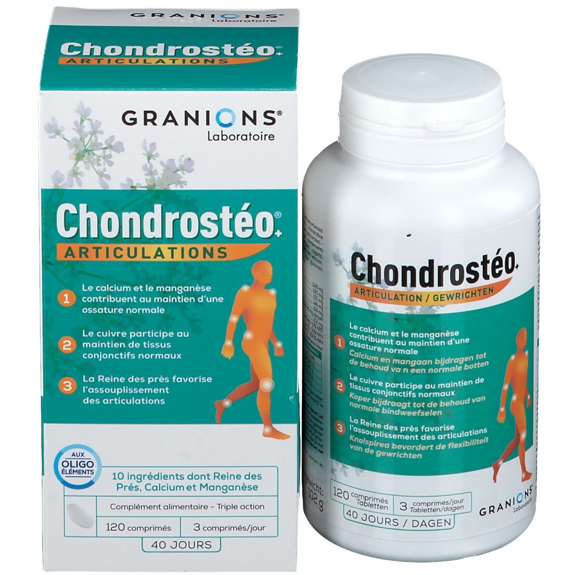 Chondrosteo