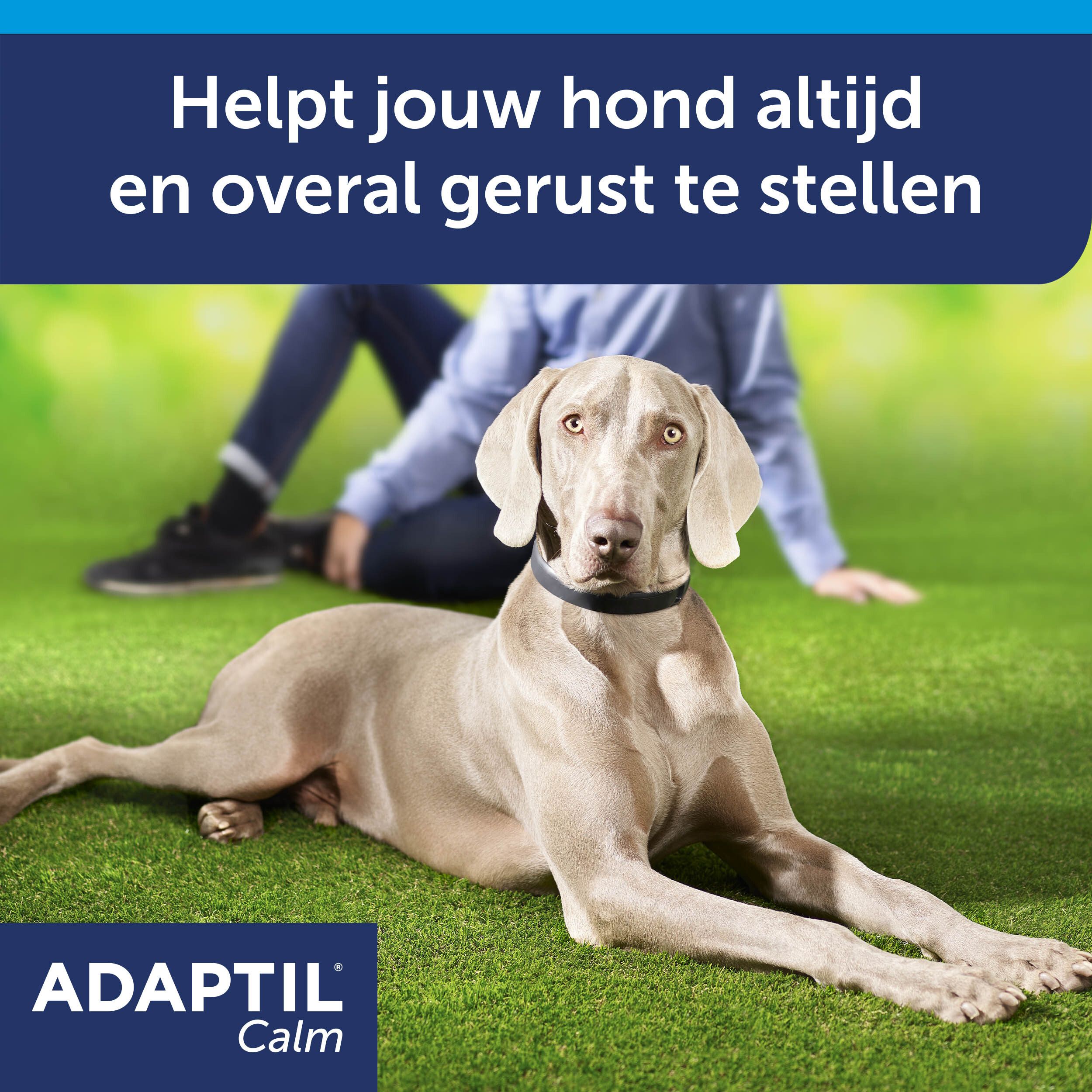 Adaptil Calm Halsband Medium-Grote Honden