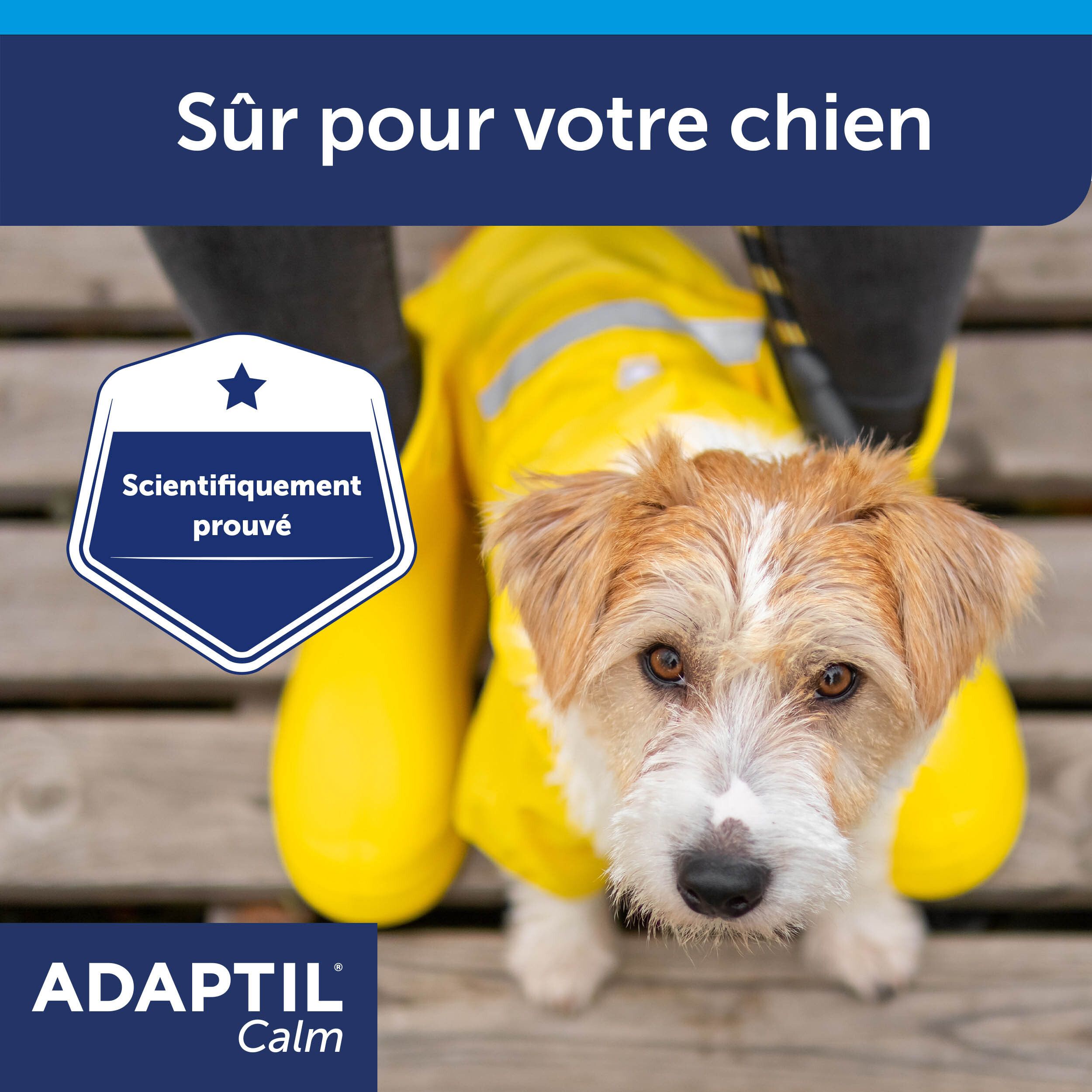 Adaptil Calm Collier Chiens Moyens et Grands