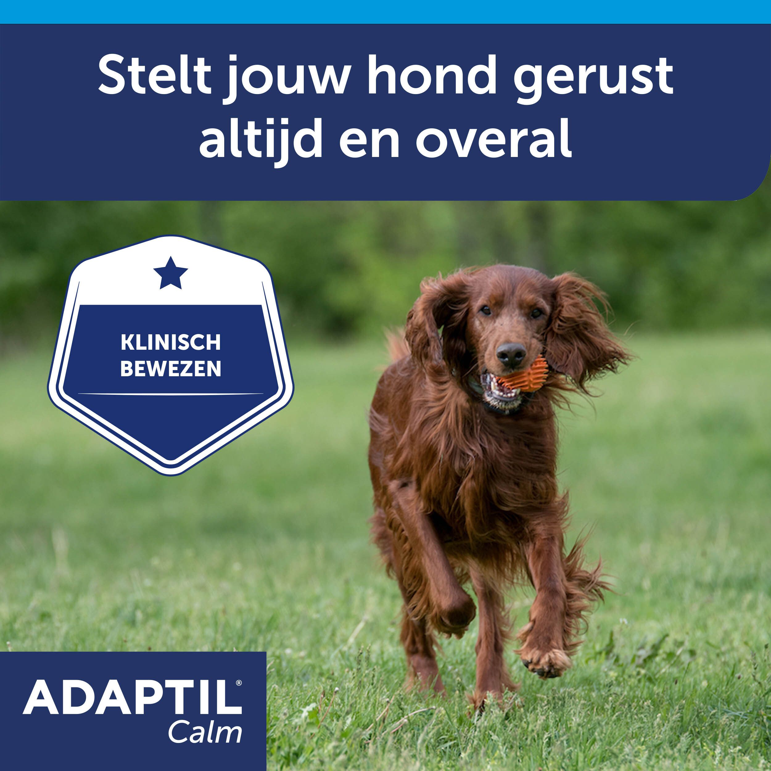 Adaptil Calm Halsband Medium-Grote Honden