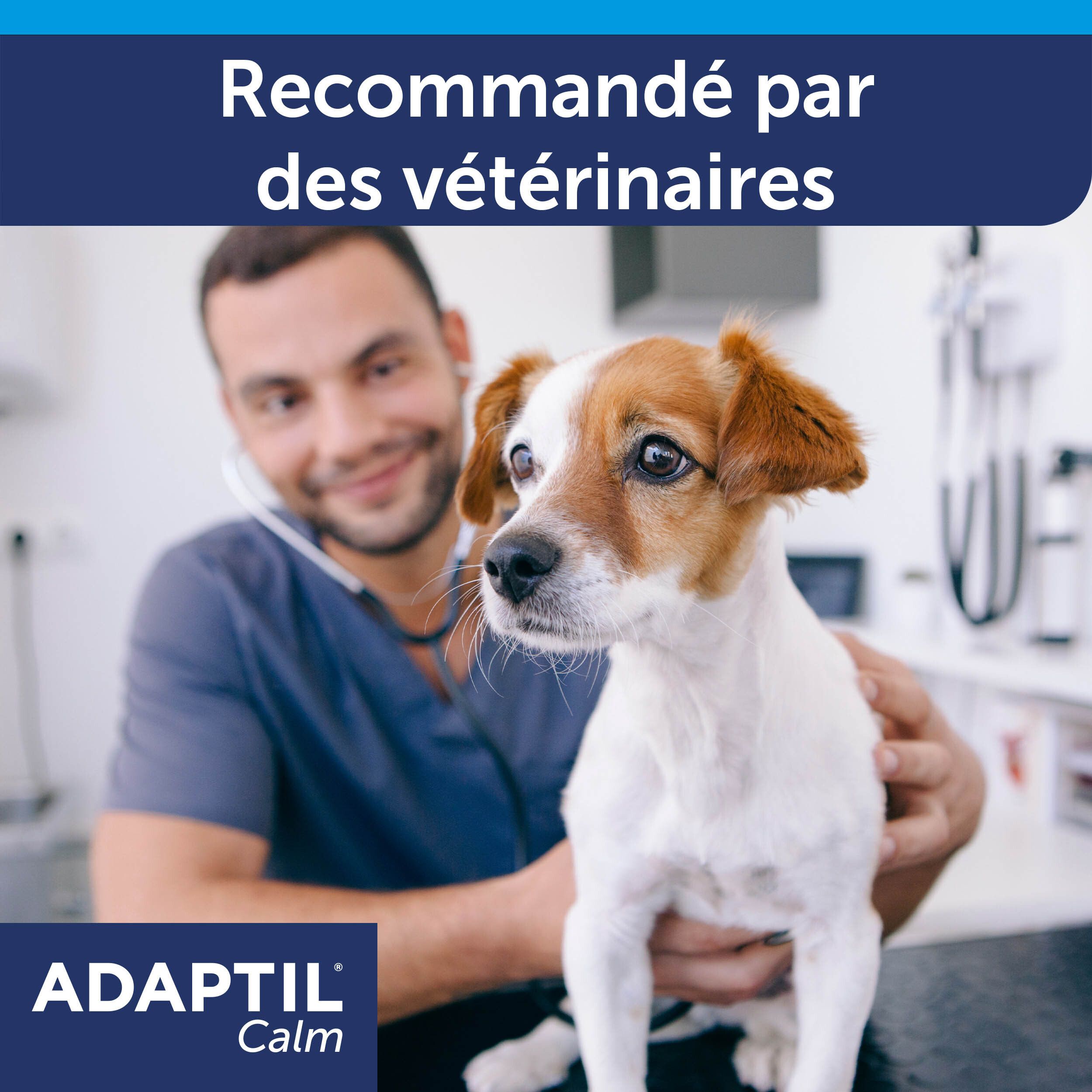 Adaptil Calm Collier Chiens Moyens et Grands