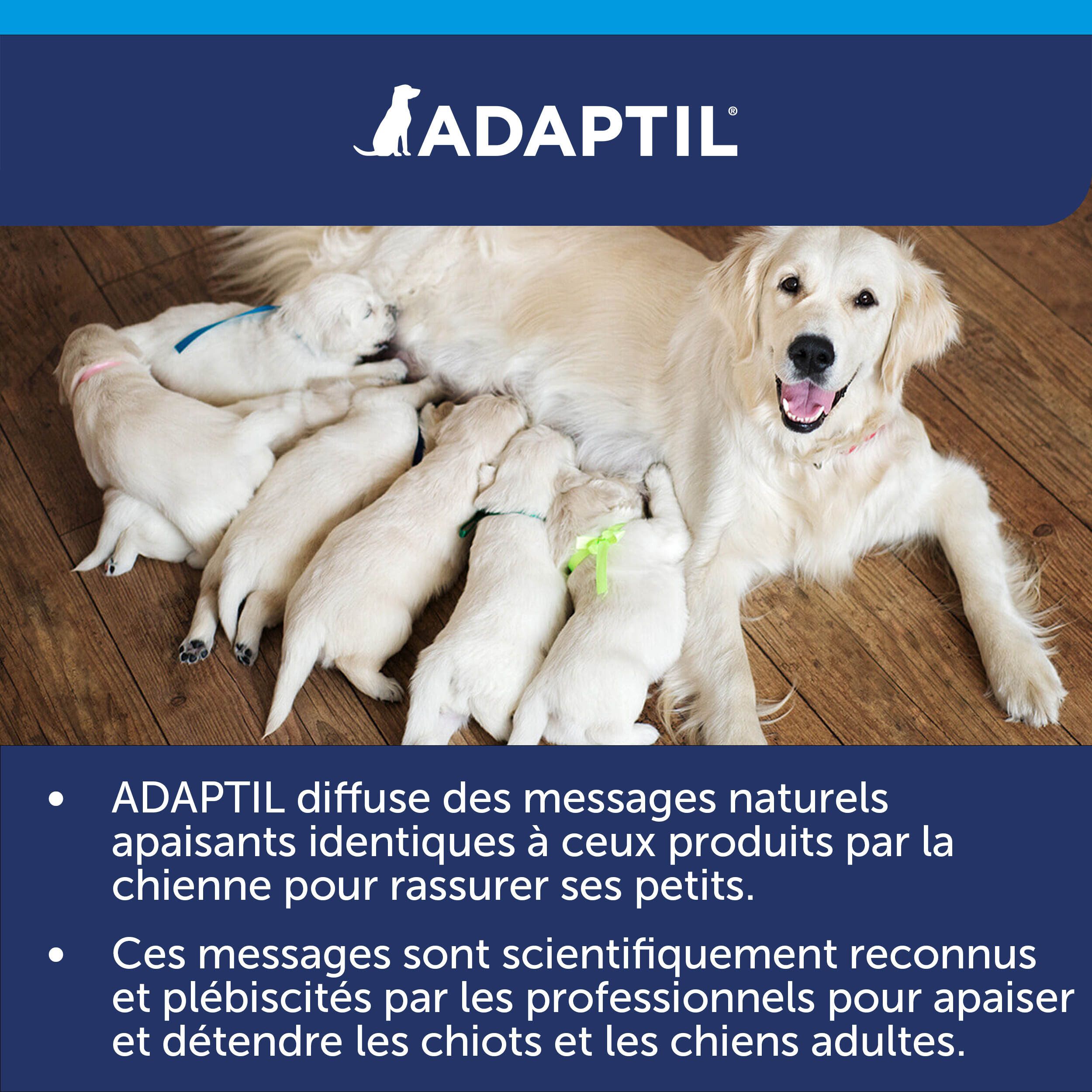 Adaptil Calm Collier Chiens Moyens et Grands