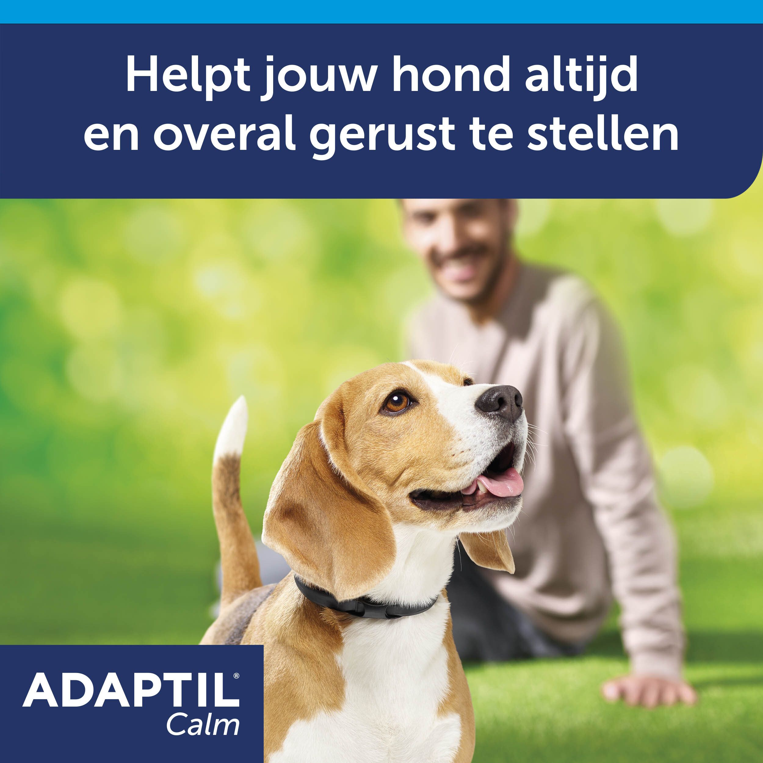 Adaptil Calm Halsband Kleine Honden