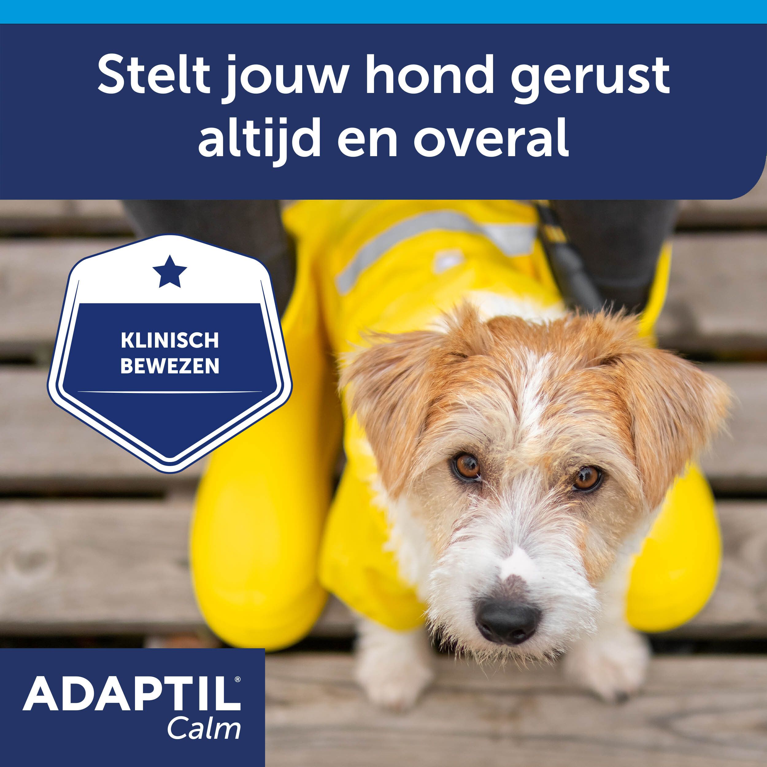 Adaptil Calm Halsband Kleine Honden