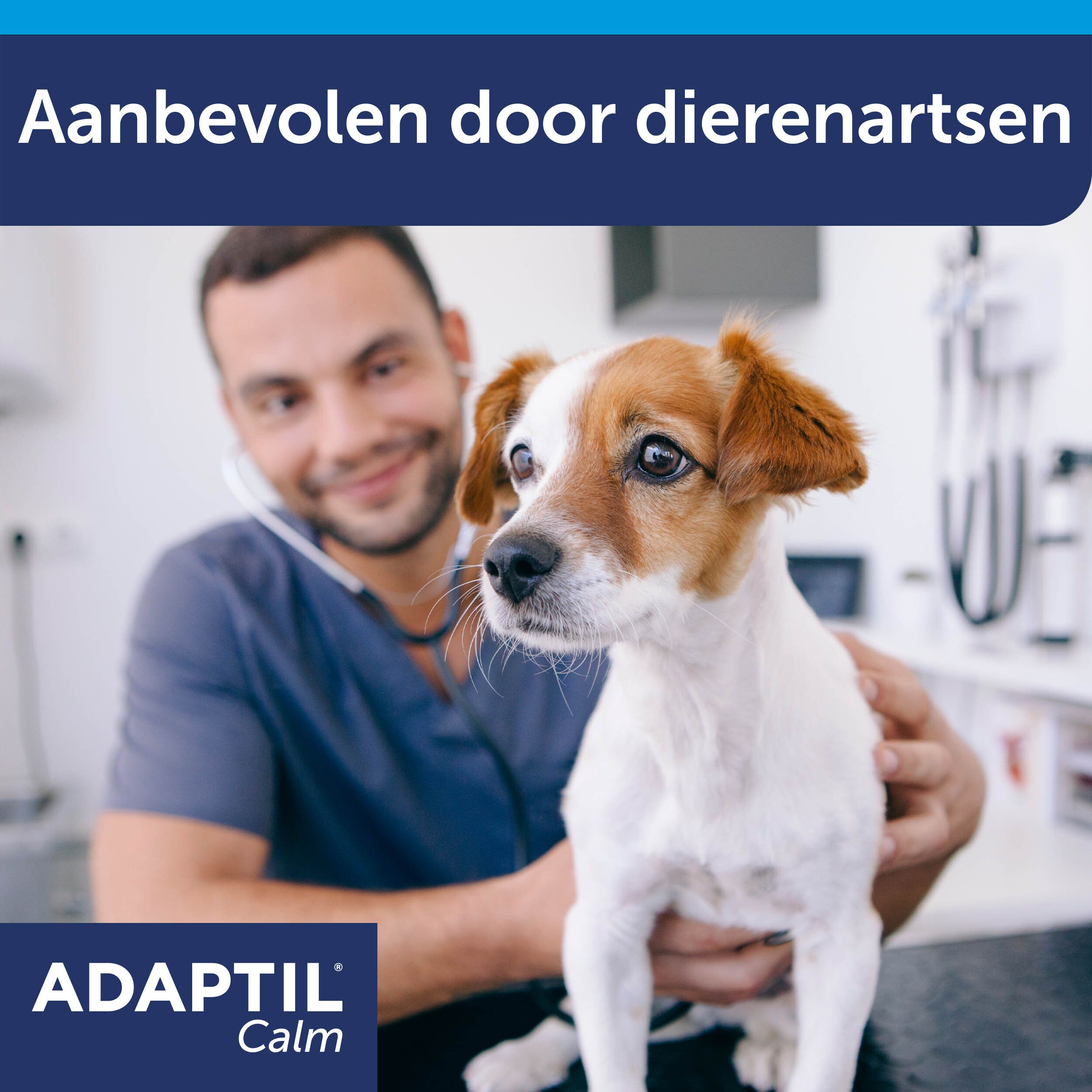 Adaptil Calm Halsband Kleine Honden