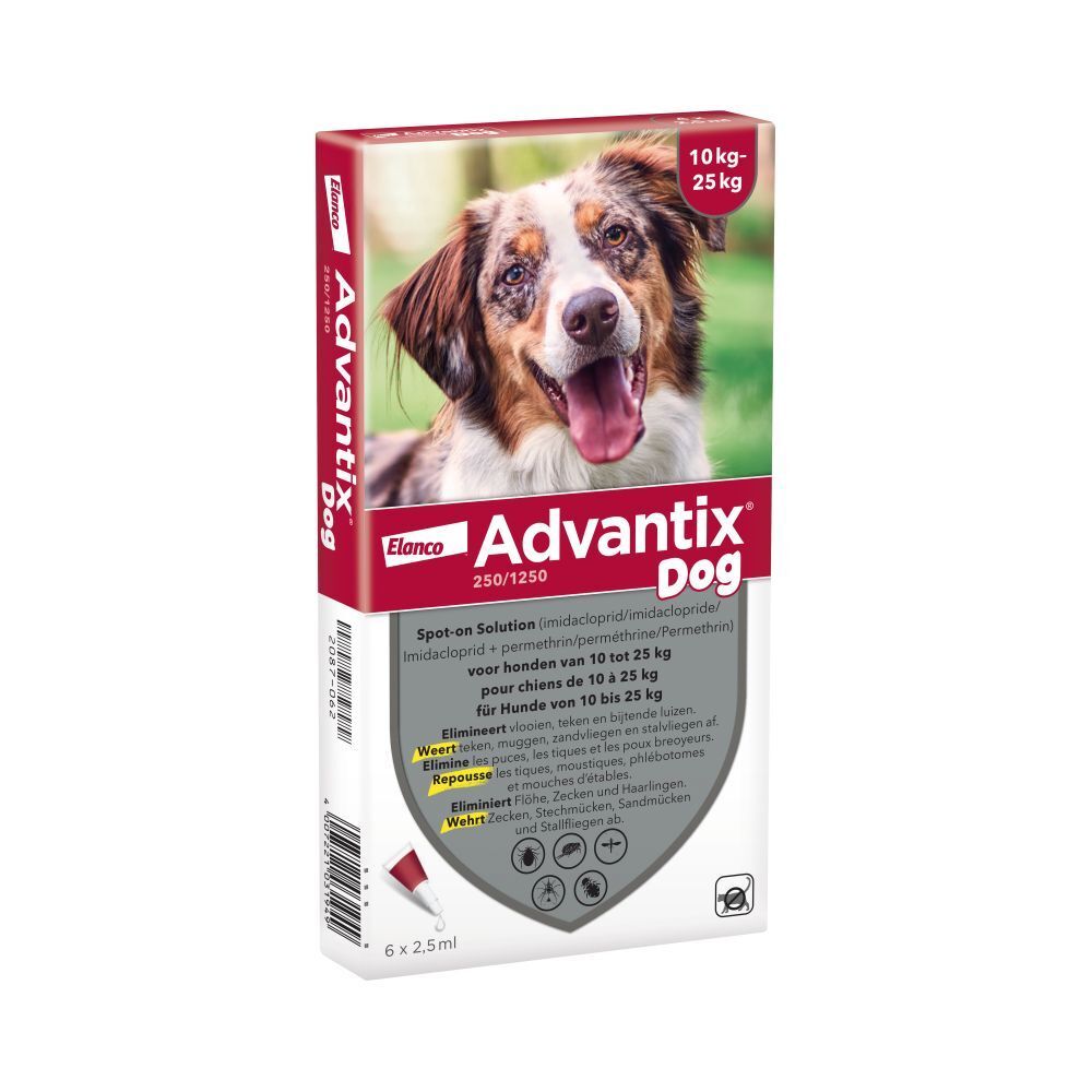 Advantix 250/1250 Spot-On Solution Chien 10<25kg