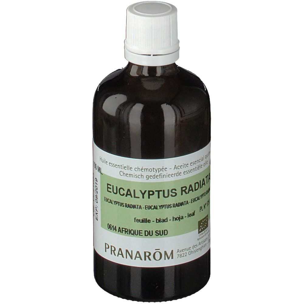 Pranarôm Eucalyptus Radiata Essentiële Olie Bio