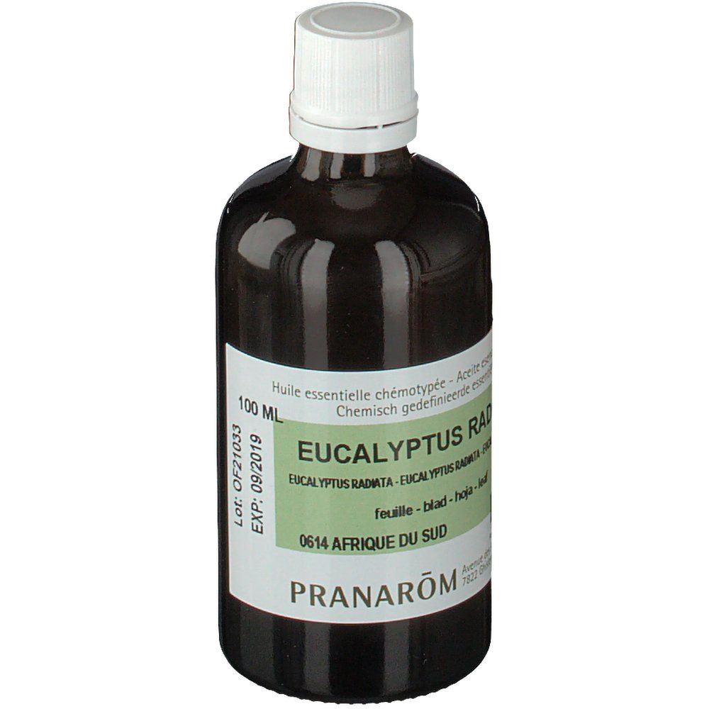 Pranarôm Eucalyptus Radiata Essentiële Olie Bio