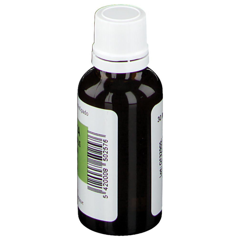 Pranarom Eucalyptus Radiata Huile Essentielle