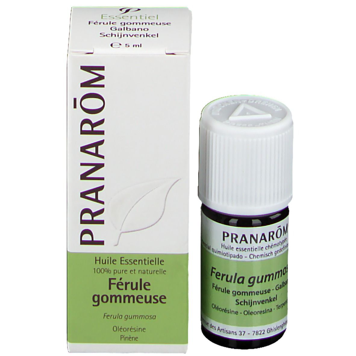 Pranarôm Férule Gommeuse Huile Essentielle