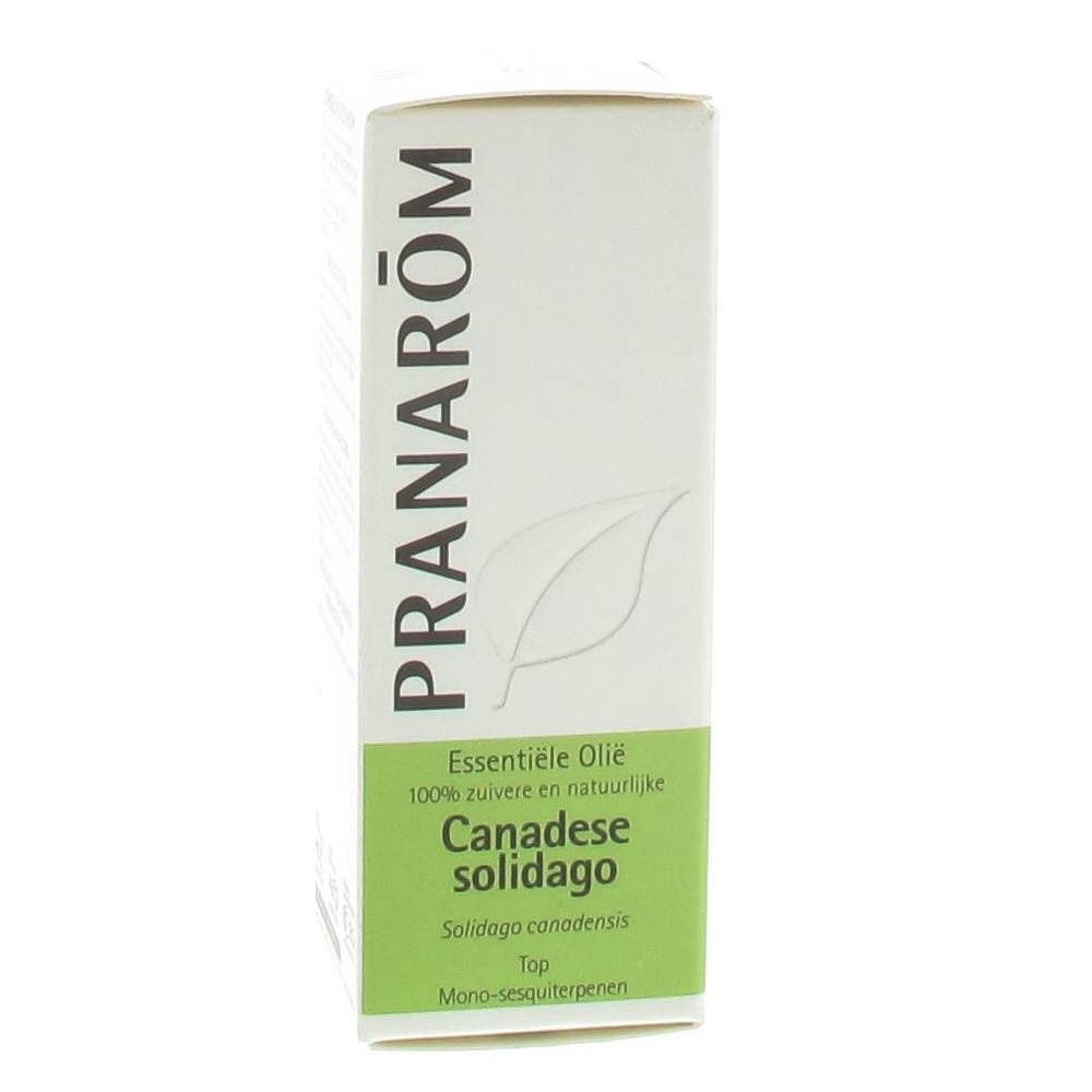 Boîte blanche et verte. Inscription PRANAROM, logo feuille, 'Essentiele Olie', 'Canadese solidago'.