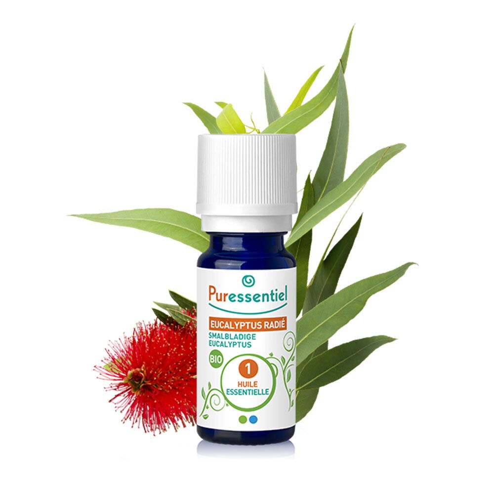 Puressentiel Eucalyptus Radiata Essentiële Olie Bio