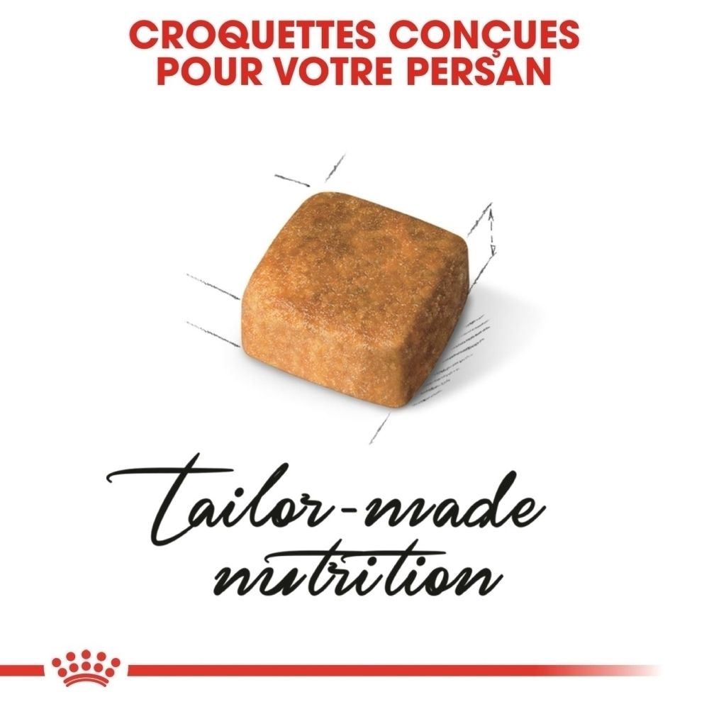 Un seul croquet brun, aux bords arrondis, sur fond blanc.