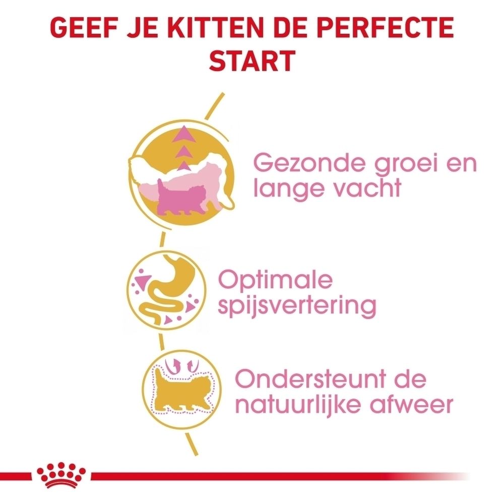 Grafiek met voordelen voor kittens: groei, vacht, spijsvertering, afweer. Met iconen en tekst.