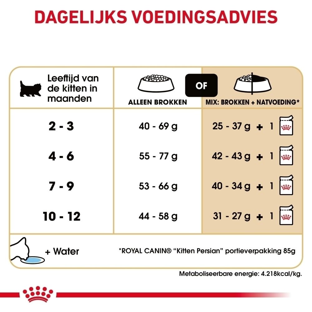 Voedingsadvies tabel voor kittens van 2-12 maanden, met aanbevelingen voor brokken en natvoer.