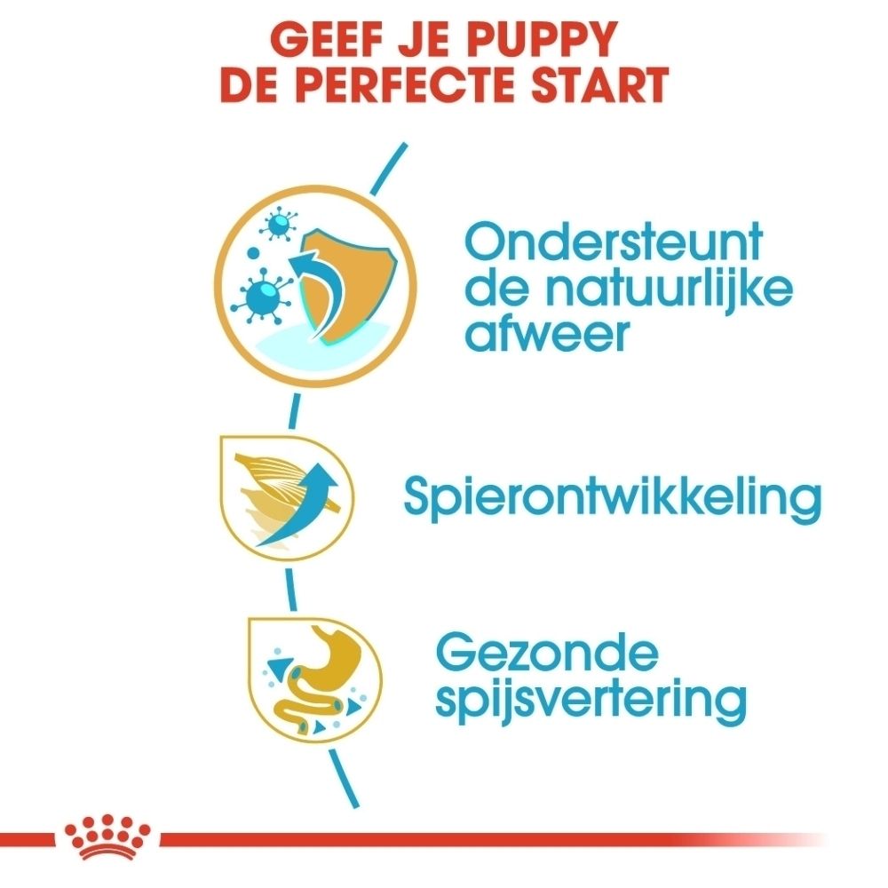 Grafiek met drie iconen: immuunondersteuning, spierontwikkeling, gezonde spijsvertering. Tekst: Geef je puppy de perfecte start.