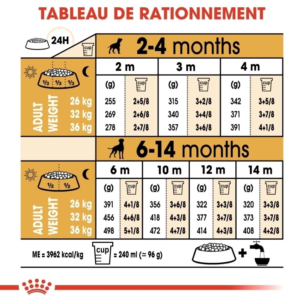 Tableau de rationnement pour chiens : grammes et tasses par jour selon l'âge et le poids.