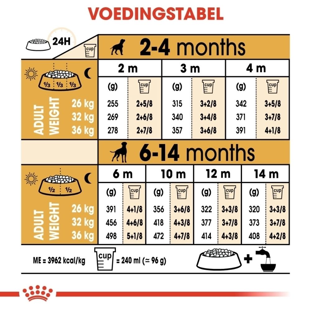Voedingstabel voor honden: grammen en kopjes per dag op basis van leeftijd en gewicht.
