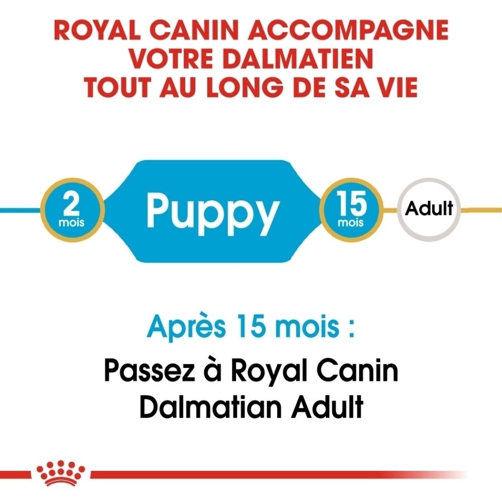 Avant d'un sac Royal Canin Dalmatien Puppy avec image d'un chiot et indications sur le soutien immunitaire.