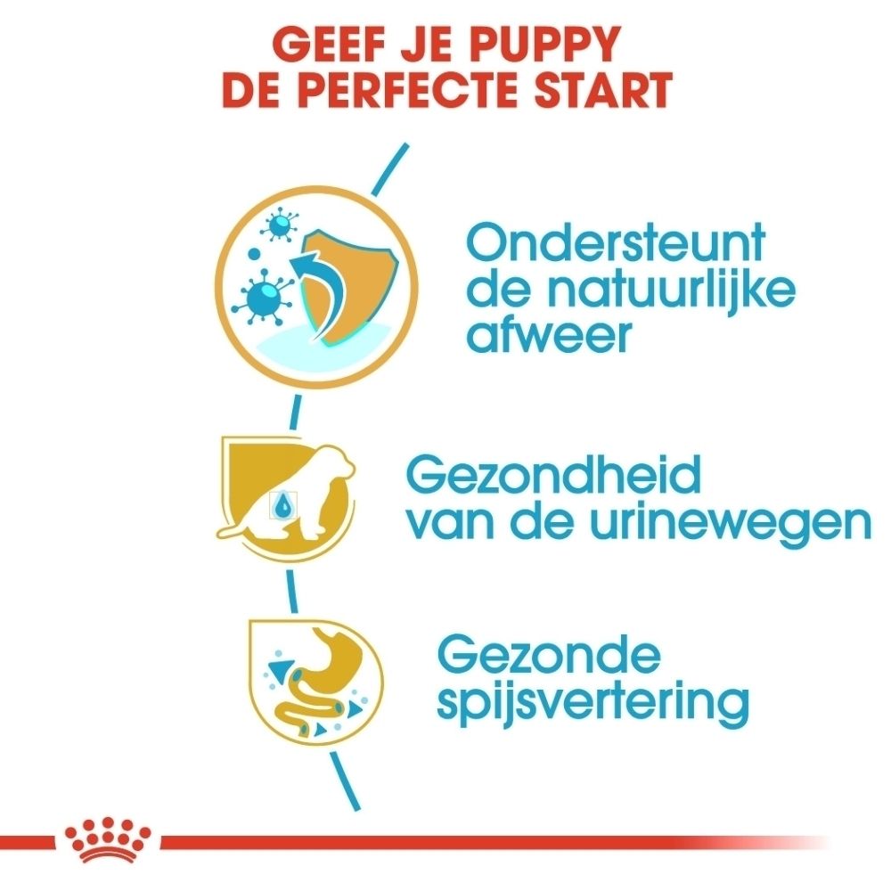 Voorkant van een zak Royal Canin Dalmatier Puppy met afbeelding van een pup.