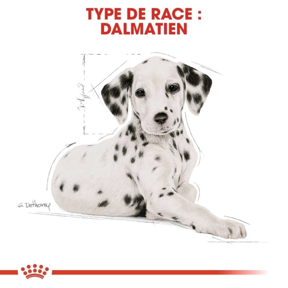 Avant d'un sac Royal Canin Dalmatien Puppy avec image d'un chiot.