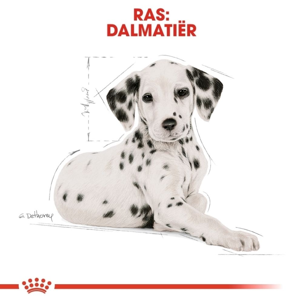 Voorkant van een zak Royal Canin Dalmatier Puppy met afbeelding van een pup.