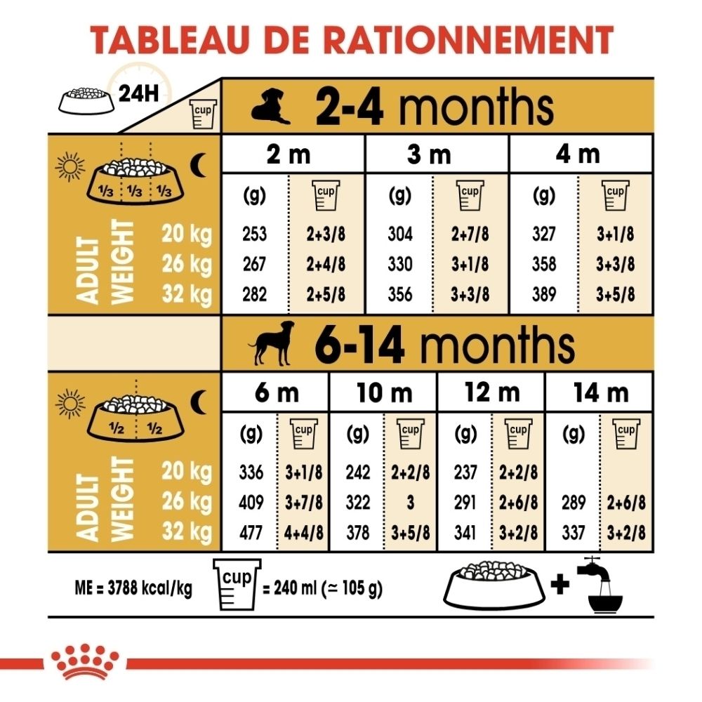 Avant d'un sac Royal Canin Dalmatien Puppy avec image d'un chiot.