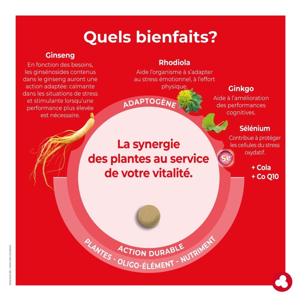 Boîte Ortis Energy & Endurance 36 gélules, formule adaptogène pour l'énergie physique et mentale.