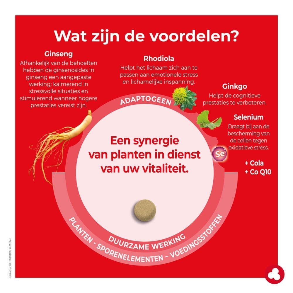 Ortis Energy & Uithouding verpakking 36 capsules, adaptogeen formule voor fysieke en mentale energie.