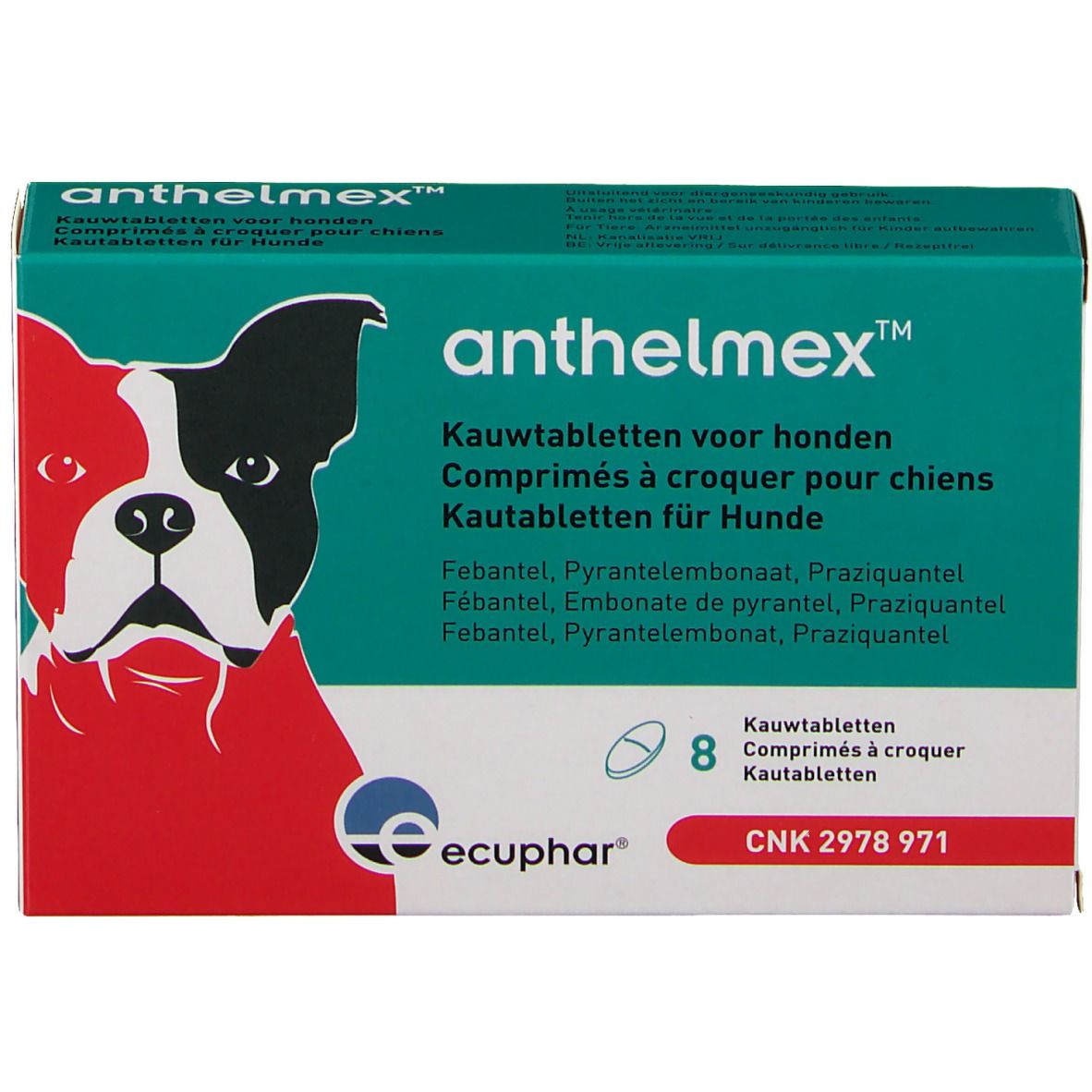 Anthelmex Chien