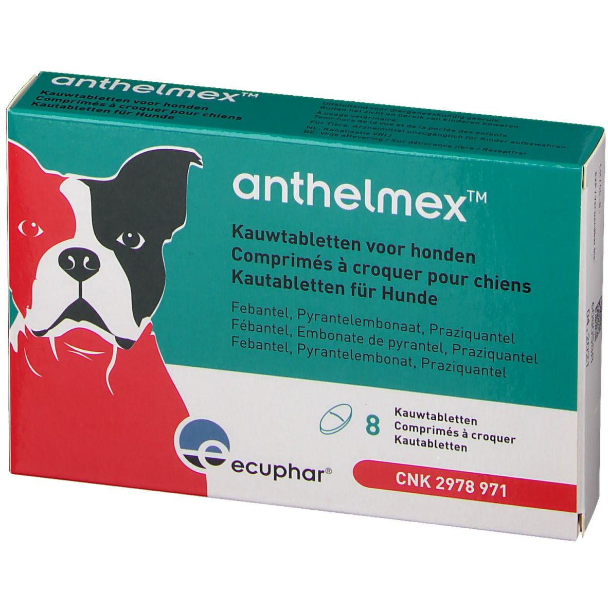 Anthelmex Chien